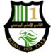 艾阿里 Logo