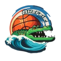 合肥文旅女篮 Logo