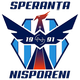 尼斯波雷尼 Logo