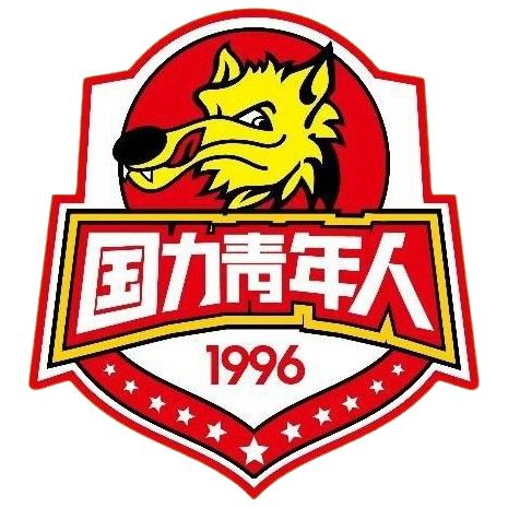 陕西西北青年人 Logo