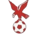 怀特豪克 Logo