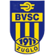 BVSC祖格洛U19 Logo