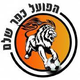 科法沙里姆U19 Logo