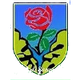ASD塞拉韦扎足球 Logo