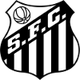桑托斯青年队 Logo