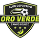 金绿色FC Logo