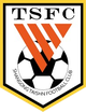 山东泰山 Logo