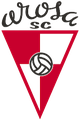 阿罗萨U19 Logo