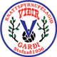 维迪尔 Logo