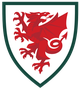 威尔士U16 Logo