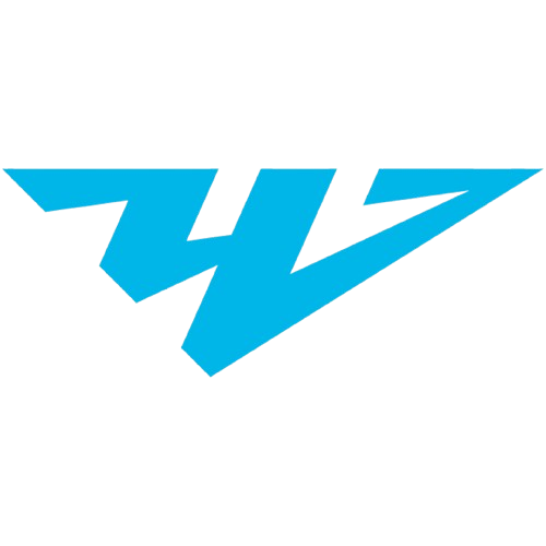 车里雅宾斯克 Logo