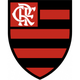 弗拉门戈青年队 Logo