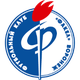 沃罗涅日火炬 Logo