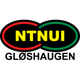 尼堤努 Logo