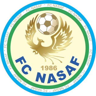 纳萨夫 Logo