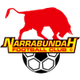 纳拉邦达 Logo