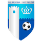 泰拉维 Logo