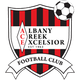 阿尔巴尼克里克 Logo