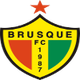 布鲁斯U20 Logo