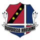 迪亚沃罗索广岛女足 Logo
