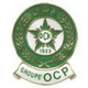OCK奥林匹克 Logo