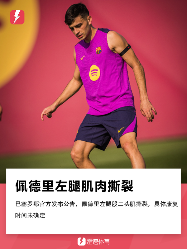 佩德里.png